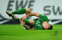 Fussball 1. Bundesliga, Saison 2011/2012: Werder Bremen, ARNAUTOVIC