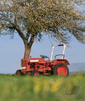 Hirrlingen (Kreis Tuebingen) Schmuckbild / Wetterbild: Traktor unterm Apfelbaum