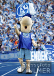 Schalkes Maskottchen Erwin