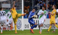 Fussball DFB Pokal Viertelfinale 13/14: TSG 1899 Hoffenheim - VfL Wolfsburg