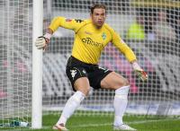 Fussball 1. Bundesliga: Werder Bremen, WIESE