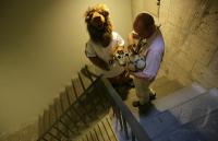 FINALE Italien - Frankreich