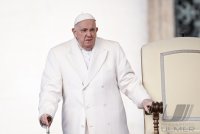 Rom Generalaudienz; Papst Franziskus I.