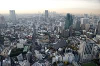 FIFA Club WM Japan 2008