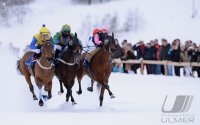 Pferdesport:  White Turf  St. Moritz 2014  Flachrennen