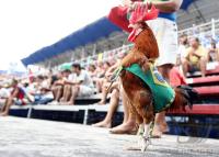 FIFA Beach Soccer World Cup Groupmatches