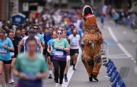 Laufen / Leichtathletik Stadtlauf / Erbelauf 2025