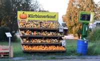 Schmuckbild; Kuerbisverkauf in Tuebingen - Buehl