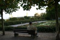 Fussball 1. Bundesliga:Borussia Dortmund - VfL Bochum