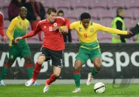 FUSSBALL INTERNATIONAL:  Albanien - Kamerun