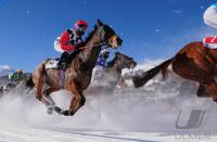 White Turf  St. Moritz 2010
