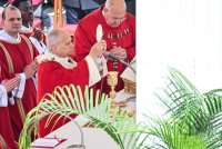 Papst Leo XIV. am Palmsonntag auf dem Petersplatz