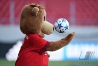 Fussball CHL 15/16 Gruppenphase: Training FC Bayern Muenchen