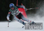 Ski Alpin; WM Bormio Abfahrt  Maenner