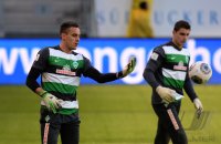 Fussball  1. Bundesliga  13/14: TSG 1899 Hoffenheim - SV Werder Bremen