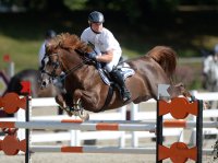 Reiten Tuebinger Landeschampionat 2015