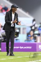 FUSSBALL WM 2022 Vorrunde: Schweiz - Kamerun