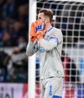 Fussball 1. Bundesliga Saison 18/19: TSG 1899 Hoffenheim - FC Schalke 04