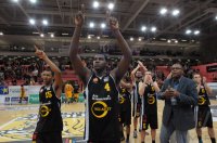 Basketball 1. Bundesliga 13/14:  Walter Tigers Tuebingen - Rasta Vechta