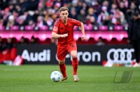 Fussball 1. Bundesliga 24/25: FC Bayern Muenchen - Holstein Kiel