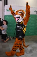 Basketball 2. Bundesliga  18/19 Teampraesentation Tigers Tuebingen