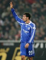 Fussball 1. Bundesliga: Schalke, KRSTAJIC