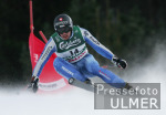 Ski Alpin; WM Bormio Abfahrt  Maenner