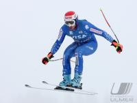 Ski Alpin  Herren Abfahrt Beaver Creek