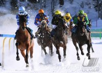 Pferdesport: White Turf  St. Moritz 2022