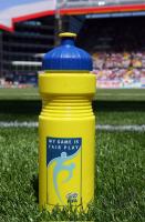 Fussball WM 2006: Italien - Australien