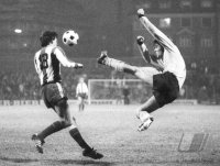 Fussball 1. Bundesliga