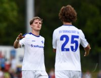 Fussball 1. Bundesliga Saison 15/16: TSG Balingen - SV Darmstadt 98