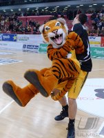 Basketball 1. Bundesliga 13/14:  Walter Tigers Tuebingen - Mitteldeutscher BC