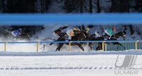 Pferdesport:  White Turf  St. Moritz 2011   Flachrennen