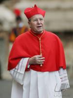 Vatikan; Tod von Papst Johannes Paul II, Kardianl Walter Kasper