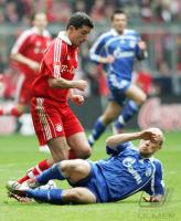 Fussball 1. BL Bayern-Schalke; Zweikampf