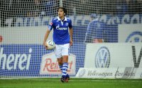Fussball 1. Bundesliga, Saison 2011/2012: FC Schalke 04, Raul