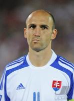 Fussball WM  2010  Qualifikation: Slowakei - Tschechien