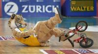 Bsaketball 1. Bundesliga  Walter Tigers Tuebingen -  TBB Trier