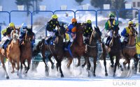 Pferdesport: White Turf  St. Moritz 2022