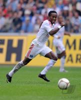 Fussball 1. Bundesliga : Ze Roberto  (HSV)