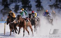 Pferdesport:  White Turf  St. Moritz 2011   Flachrennen