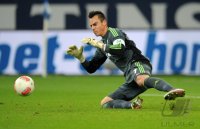 Fussball 1. Bundesliga Saison 2012/2013: FC Schalke 04 - VfL Wolfsburg