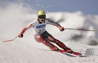 FIS Junioren Ski WM - Abfahrt Herren