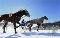 Pferdesport: White Turf  St. Moritz 2022