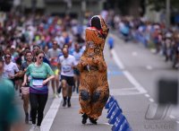 Laufen / Leichtathletik Stadtlauf / Erbelauf 2025