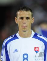 Fussball WM  2010  Qualifikation: Slowakei - Tschechien