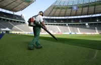 Fussball WM 2006: Finale, 24 Std. Reportage