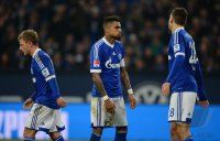 Fussball, 1. Bundesliga  Saison 2013/2014: FC Schalke 04 - SC Freiburg
