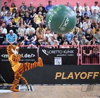 Basketball 2. Bundesliga 24/25 Walter Tigers Tuebingen - VET-CONCEPT Gladiators Trier